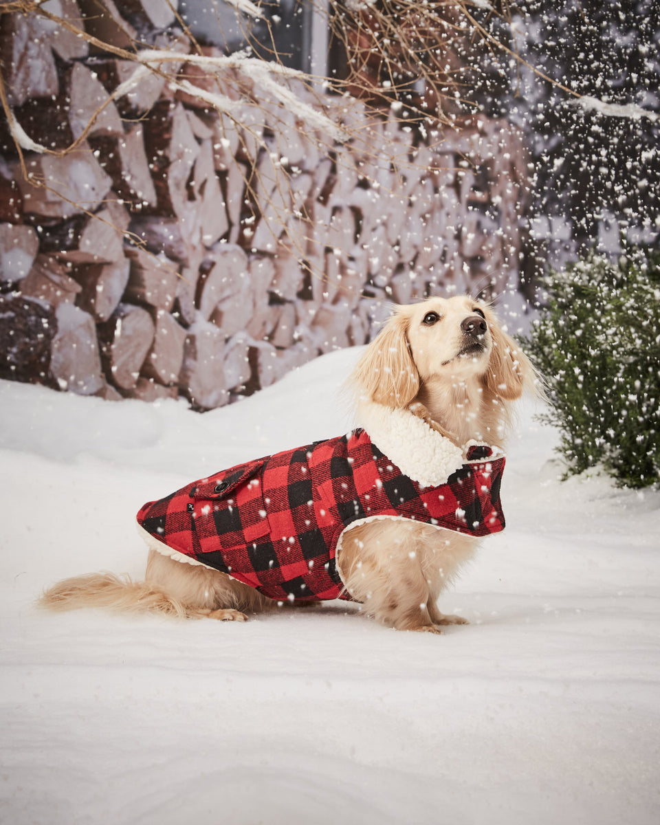 COATS Hotel Doggy Costco Next