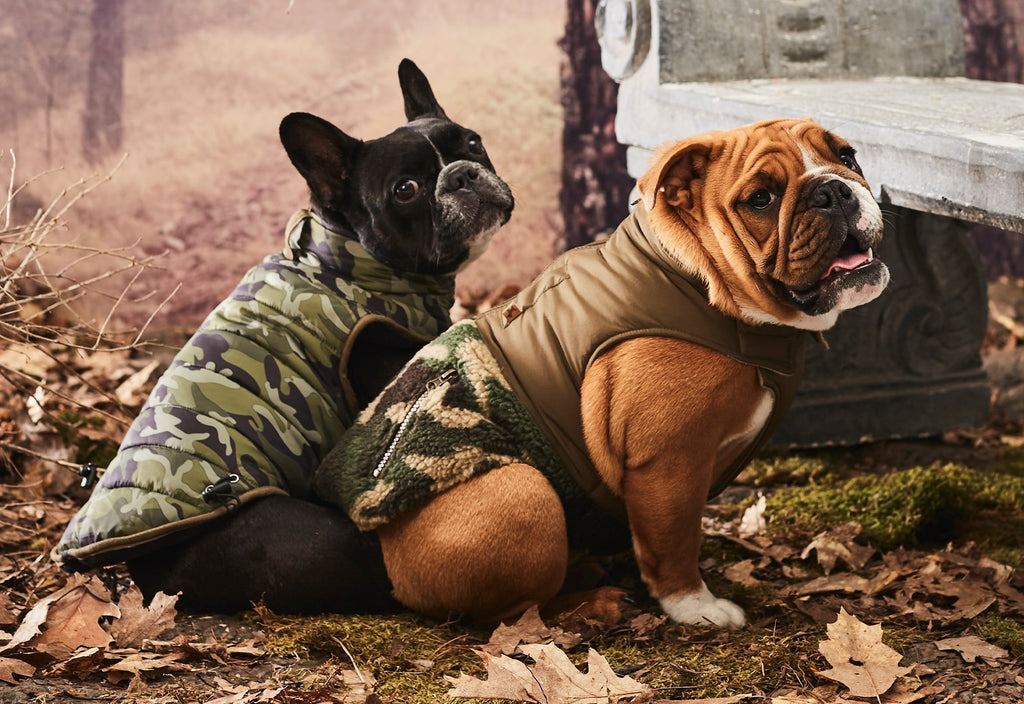 two dogs outside side by side one wearing a solid camo vest and the other wearing a brown and camo vest